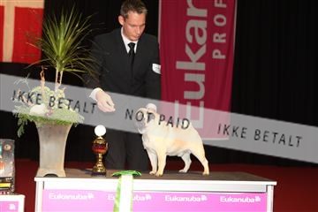 126827_tl_02_IMG_3159.JPG