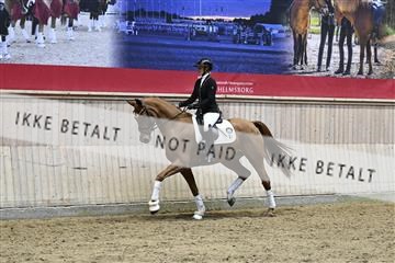 182241_kbb_01_Z093776.JPG
