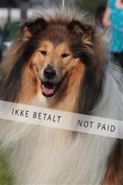 6068_ma_06_IMG_3522.JPG