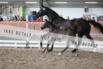 181756_mtp_03_R62_2585.JPG