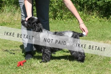 130370_se_03_IMG_7239.JPG