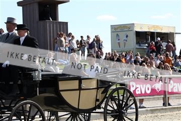 181436_avh_03_5041.JPG
