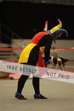 6068_sme_04_IMG_3477.JPG