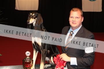 126827_tl_02_IMG_3172.JPG