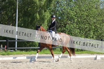 168732_mtp_01_3M5A8453.JPG