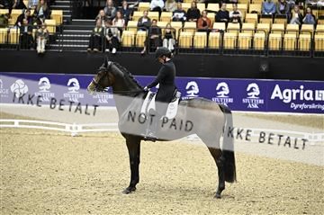 182194_kbb_02_Z098833.JPG