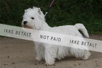 130370_se_01_IMG_5275.JPG