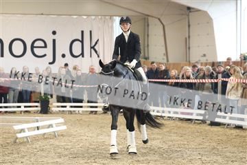 174363_kbb_01_R6II8310.JPG