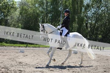 168732_mtp_01_3M5A6736.JPG