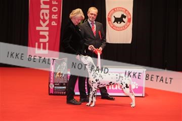 126827_tl_04_IMG_0050.JPG