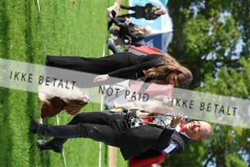 182009_rin_03_R62_3989.JPG