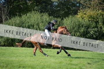 2019 Copenhagen Eventing Camilla Eriksen Union Jack Z 163761_KNF_01_KEE_134.jpg