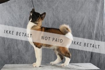 128239_le_ 06_0038.JPG