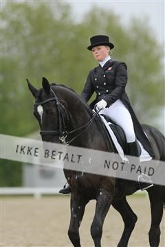 139835_sg_03_IMG_9135.JPG
