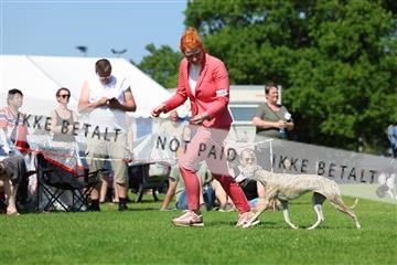 181564_rin_02_R62_4029.JPG