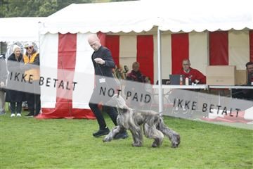 182009_kar_01__62_5448.JPG