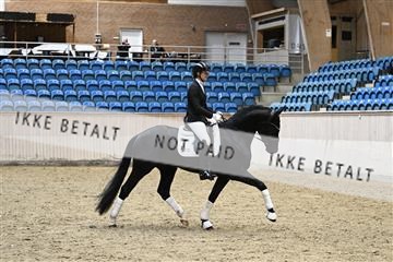 182241_kbb_01_Z093898.JPG