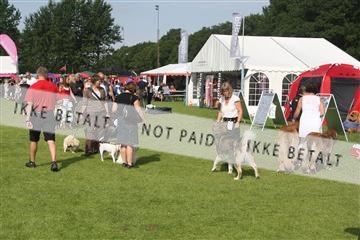 130370_le_03_IMG_8052.JPG