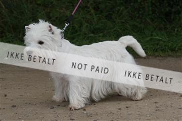 130370_se_01_IMG_5270.JPG