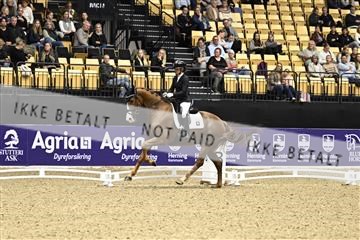 182194_kbb_03_Z090812.JPG