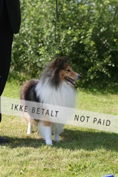 130370_se_03_IMG_7944.JPG