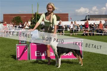 130370_se_03_IMG_7762.JPG