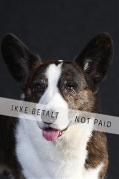 132082_le_ 01_IMG_0606.JPG