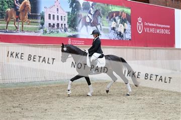 181887_mtp_04_R62_9152.JPG