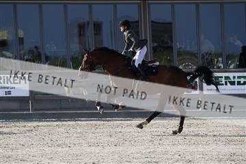 181922_avh_04_2218.JPG