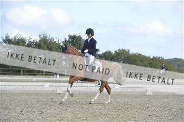 169624_kbb_01__KBB8610.JPG