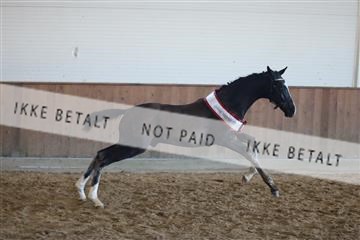 181756_mtp_04_R62_3563.JPG