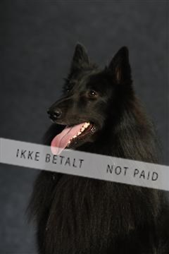 132082_le_ 01_IMG_0816.JPG