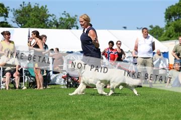 181564_rin_02_R62_3875.JPG