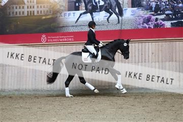 181887_mtp_01_R62_7019.JPG