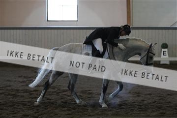 139267_kl_1_8M1Q6537.JPG