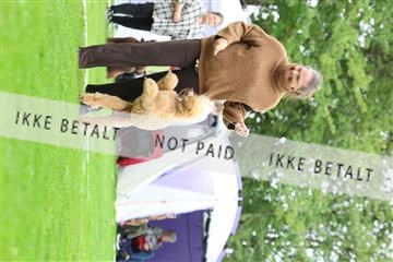 182009_rin_01_R62_5885.JPG