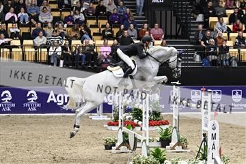 182194_kbb_02_Z099568.JPG