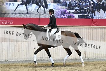 182241_kbb_01_Z093252.JPG