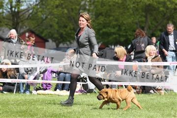 134871_ms_04_IMG_0390.JPG