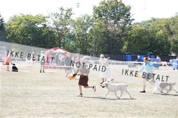 181848_kar_01__62_1890.JPG