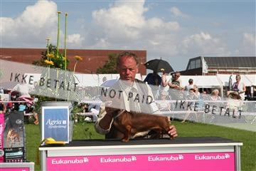 130370_se_03_IMG_7702.JPG