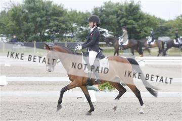 166078_rhj_01__J7R3717.JPG