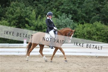 156196_nn_01_IMG_6428.JPG