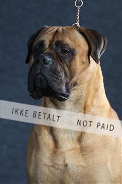 132082_le_ 01_IMG_1607.JPG