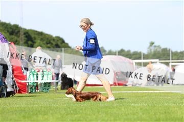 181564_rin_02_R62_1220.JPG