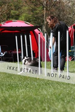 134871_ms_02_IMG_3090.JPG
