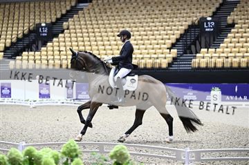 182194_kbb_02_Z097905.JPG
