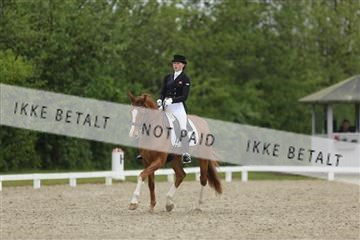 139835_sg_03_IMG_9074.JPG