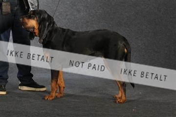 132082_le_ 01_IMG_0831.JPG