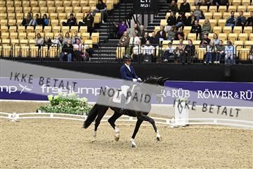 182194_kbb_03_Z091346.JPG
